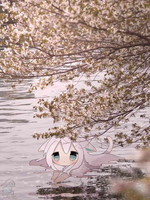 お花見 