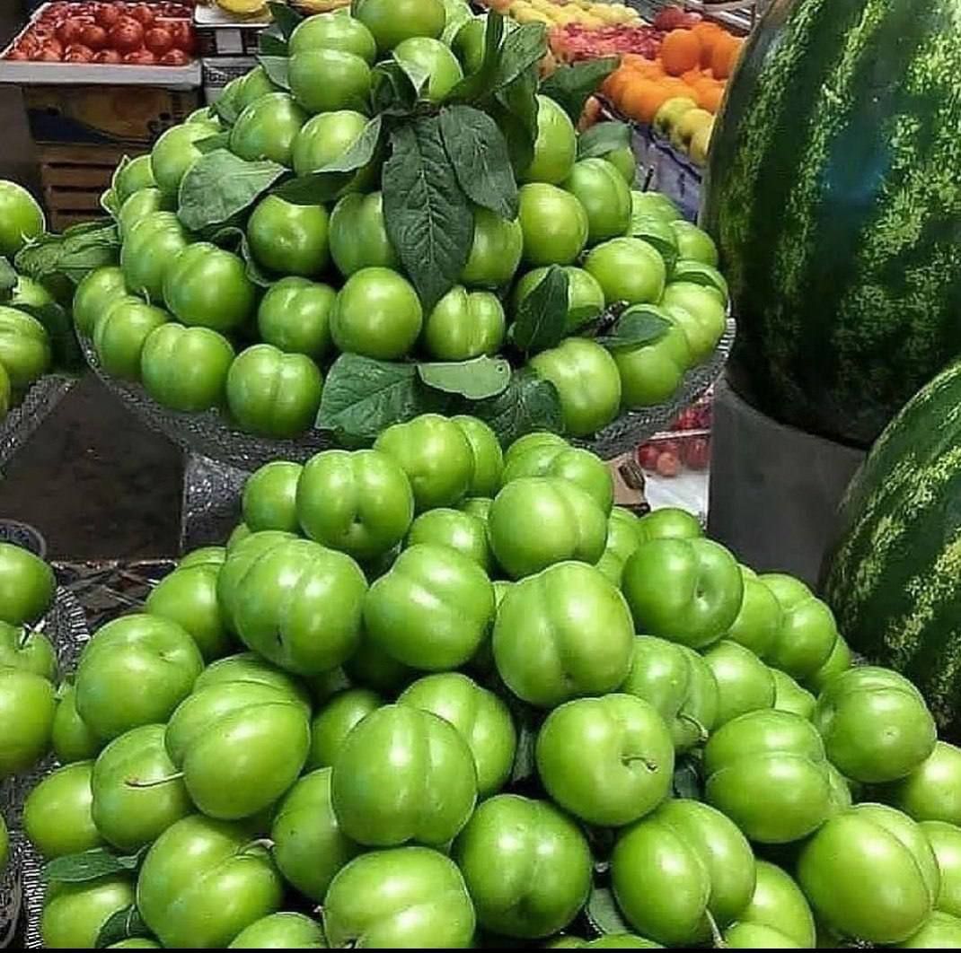 Fm2Hamid's tweet photo. جهت بازی با روح روان دختر های گرامی😂😂 https://t.co/bVwcXufk1O