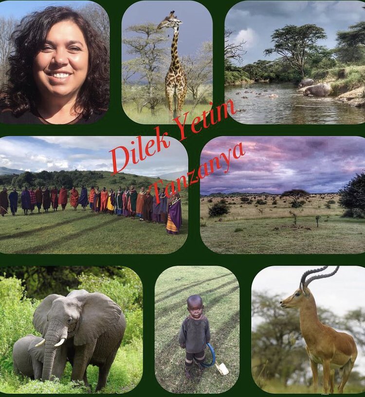 #100doktor100rota 
Pandemide yitirdiğimiz ekip arkadaşlarımız ve meslektaşlarımızın geride kalan çocuklarının eğitimi için bir araya gelen 100 doktordan 100 eşsiz rota var kitapta, bende Tanzanya’yı anlattım 😊
Gezgin ruhlara iyi geleceğinden eminim. <a href="/KAHEV2018/">KAHEV</a> 🙏