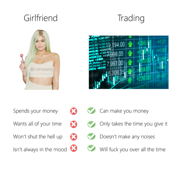 gainzz tweet media