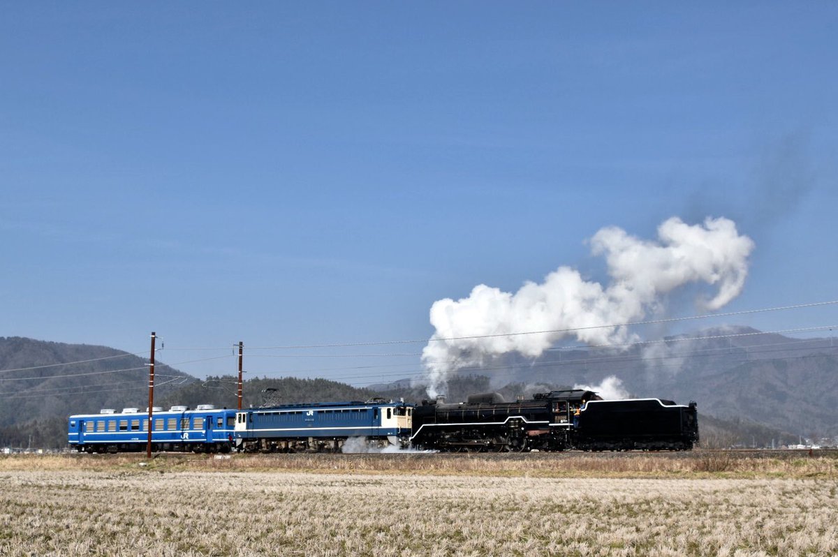 lZN8gMZX5kwy5gL's tweet photo. 2019.3は引継ぎ・引越しで東京3往復。
スハフ12-129を伴車にしたD51シテン、先般廃車となったシキ1000、クジラ引退、ヒネ117系初廃車となるSG001編成等を撮影しました。
4機となったクジラを最後まで撮影出来たのは感慨深い出来事でした。

3.5＝試9292レ、3.20＝9185レ、3.24＝8072レ、3.27＝回6442M https://t.co/fPSIzonyb8