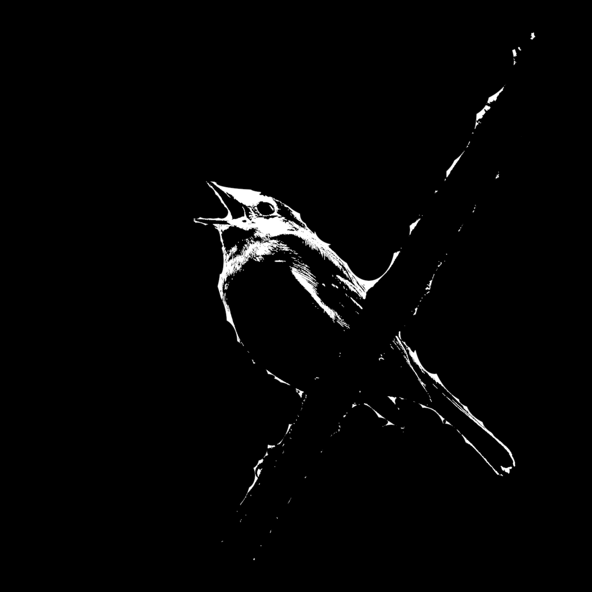 New music coming soon...