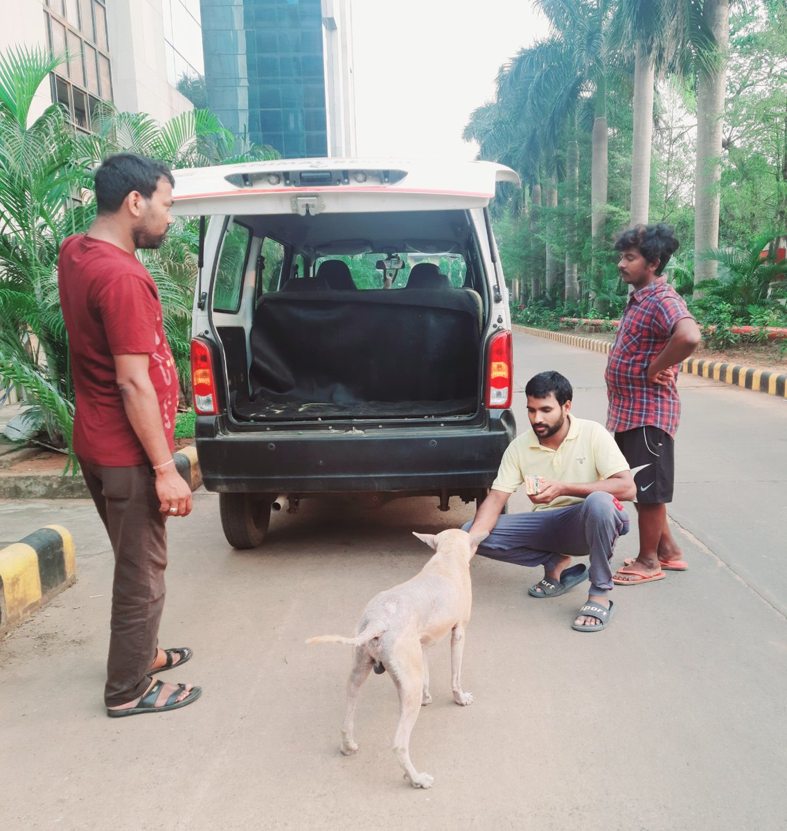 imDParida's tweet photo. A dog had been suffering from skin diseases for some days. He slept in a corner without going anywhere. I watched it all the time on the way to my office. I felt little pity. I called the Animal Rescue team & gave the dog to them.
Thanks #AWTE for treat & care for sick animals.๐ https://t.co/X3UHP4lITJ