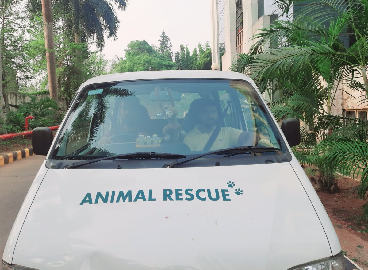 imDParida's tweet photo. A dog had been suffering from skin diseases for some days. He slept in a corner without going anywhere. I watched it all the time on the way to my office. I felt little pity. I called the Animal Rescue team & gave the dog to them.
Thanks #AWTE for treat & care for sick animals.๐ https://t.co/X3UHP4lITJ
