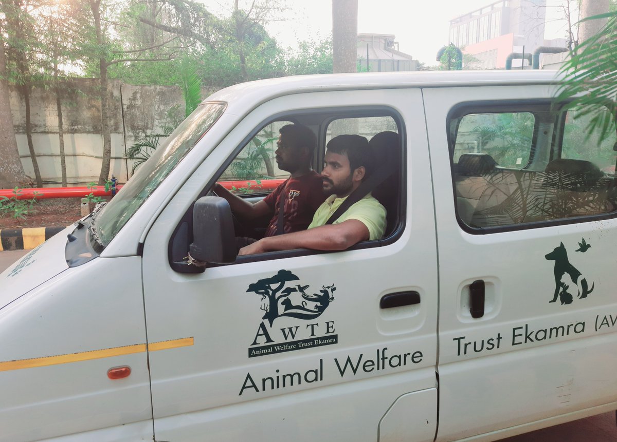 imDParida's tweet photo. A dog had been suffering from skin diseases for some days. He slept in a corner without going anywhere. I watched it all the time on the way to my office. I felt little pity. I called the Animal Rescue team & gave the dog to them.
Thanks #AWTE for treat & care for sick animals.๐ https://t.co/X3UHP4lITJ