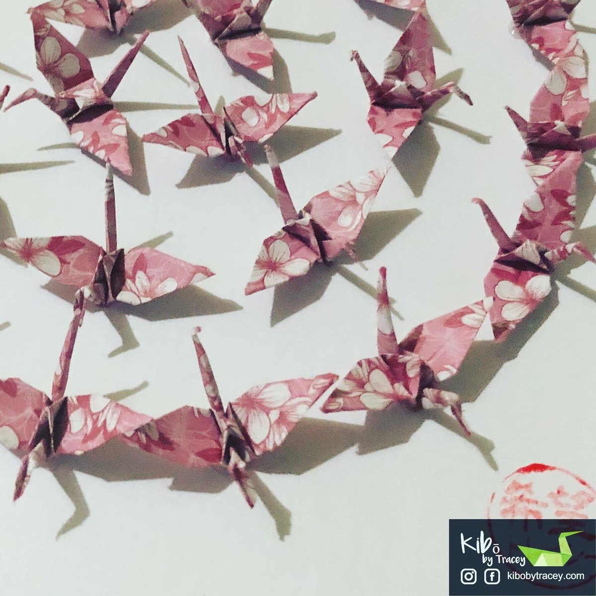aussiestorm65's tweet photo. Tonight’s finished creation - pink and white Sakura origami paper cranes in another Circle of Hope, Kibō no wa.

#kibōbytracey #aussiestorm65 #Origami #折り紙 #handmade #handfolded #Geelong #kibōnowa #希望の輪 https://t.co/wN32wguUNC