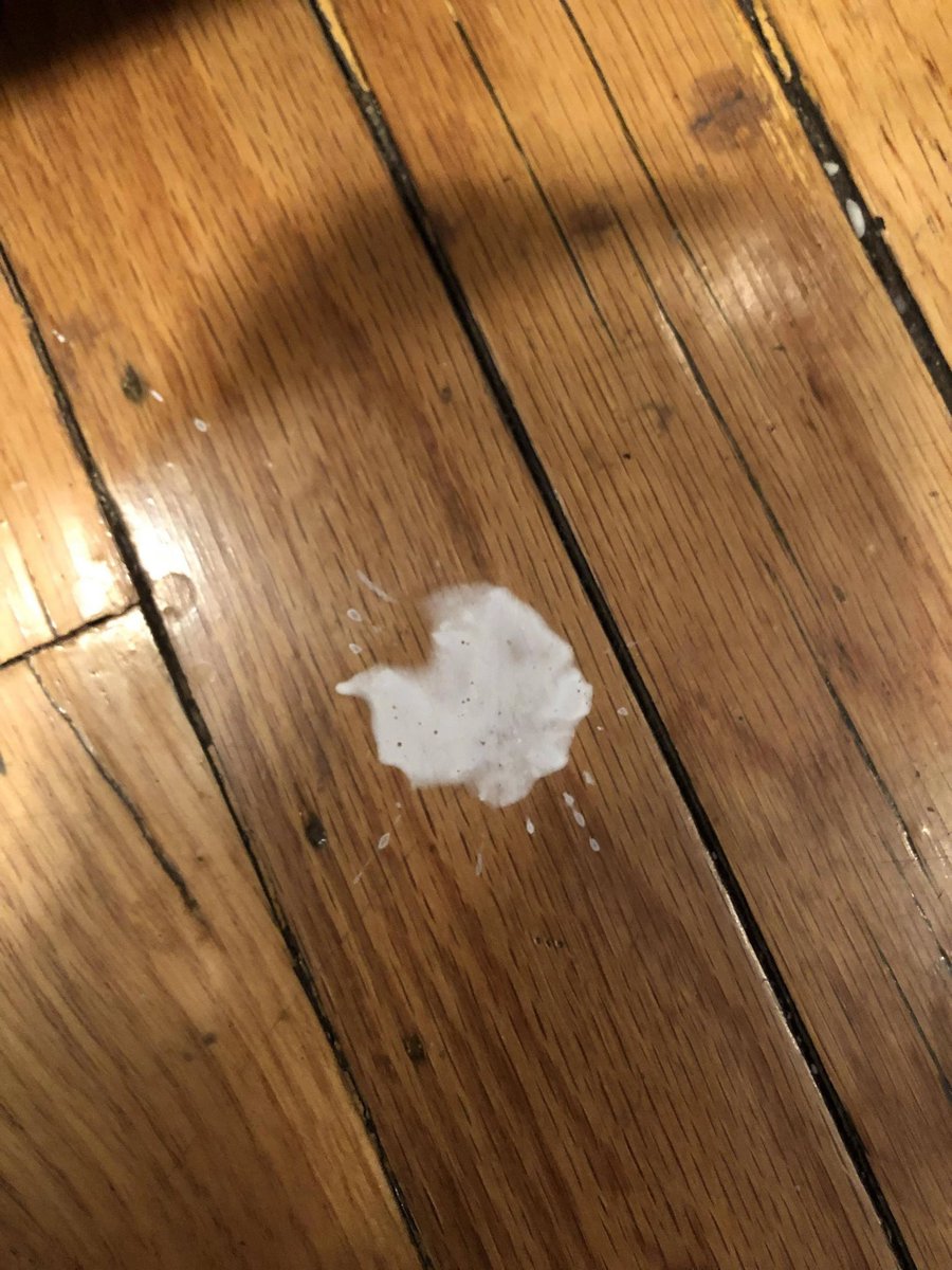 Is this Non fungible yogurt now?

#NFY lets start dropping our yogurt and make this TT on Twitter 🙏🏼🙏🏼💙

Would be so fun to see your NFY down below 👇🏼