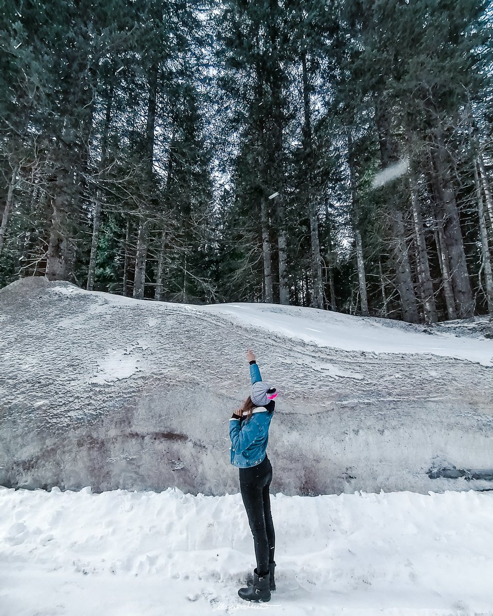 Marusha_____'s tweet photo. • Life is not a story. It's a collision of different stories, and that's what creates that spark inside you.✨ The amount of snow on Pokljuka, March 2021.❄️ •
#pokljuka #bled #bohinj #slovenia #Slovenija #snow #snowing #photography #mobilephotography https://t.co/bzwv36kQUs