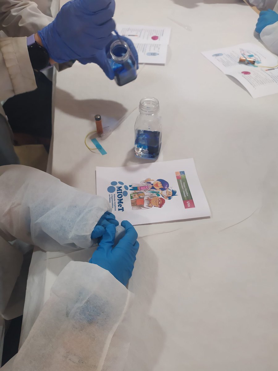 Los alumnos del <a href="/CEIPTierradepin/">CEIP Tierra de Pinares</a> han sido científicos por un día gracias a los investigadores de <a href="/GIRMIOMeT/">Grupo de Investigación MIOMeT</a> 🧪🧑🏽‍🔬👨🏽‍🔬💥

Organizamos esta actividad de divulgación para escolares en el marco del convenio con <a href="/Dip_Va/">Diputación de Valladolid</a>