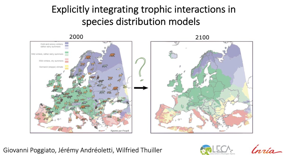 oaggimenez's tweet photo. Explicitly integrating trophic interactions in species distribution models improves ecological niche estimations and predictions - Giovanni Poggiato @GPoggiato @UGrenobleAlpes #gdrEcoStat https://t.co/Vo0wCejYSE