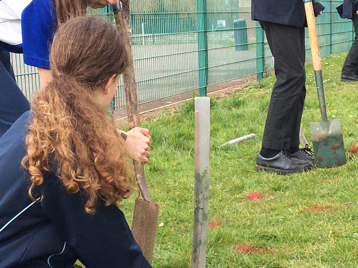 DownendScience's tweet photo. Thanks to #Thewoodlandtrust for donating our new hedge. Improving biodiversity behind the science block with #Downendscienceclub. @lisaj_howell @DownendschNews https://t.co/1VKqWKkM64