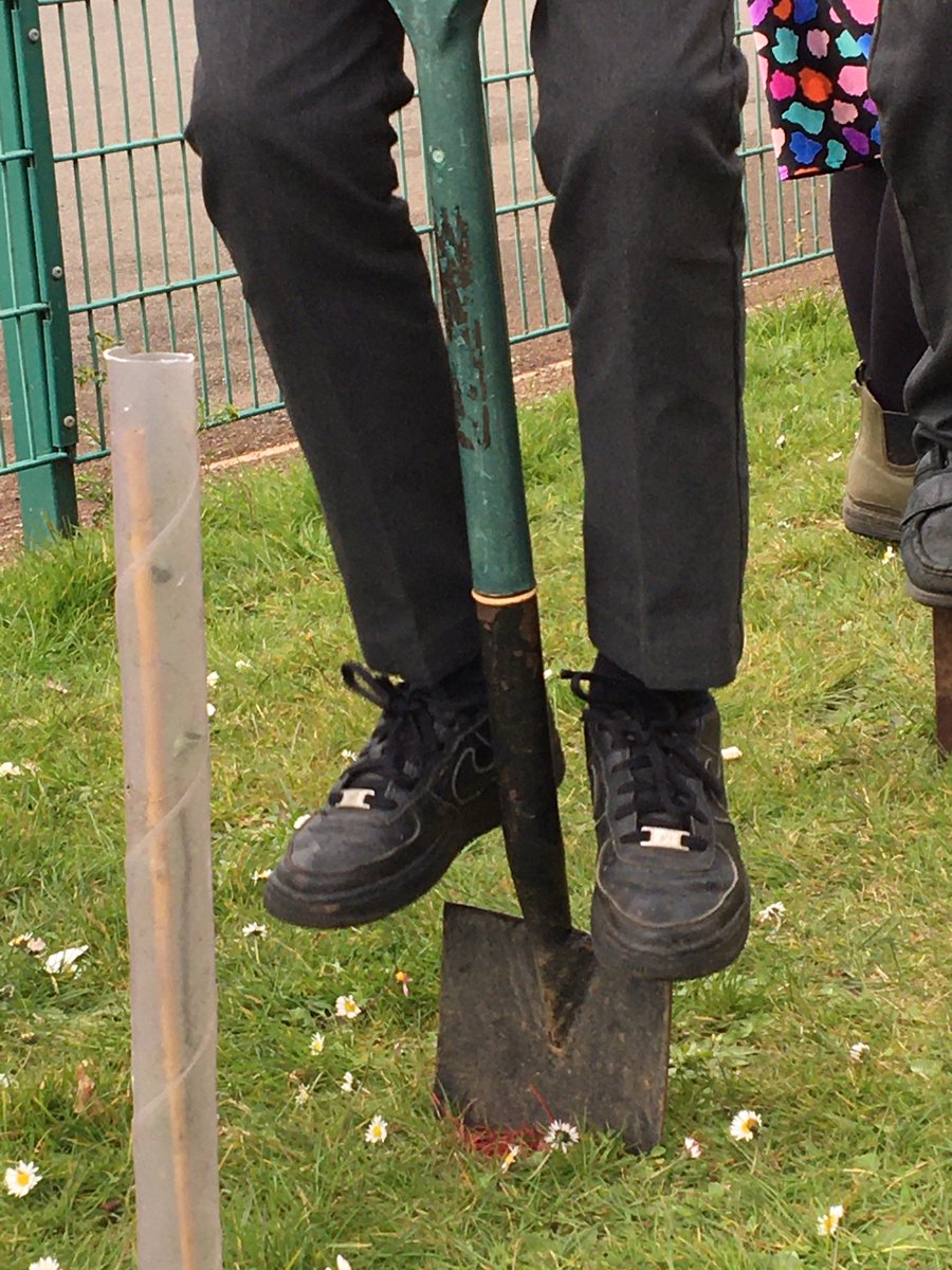 DownendScience's tweet photo. Thanks to #Thewoodlandtrust for donating our new hedge. Improving biodiversity behind the science block with #Downendscienceclub. @lisaj_howell @DownendschNews https://t.co/1VKqWKkM64
