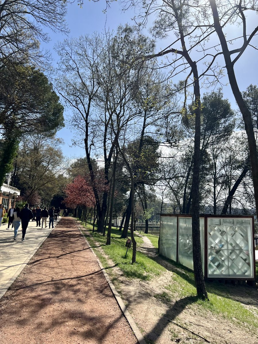 LiriKopaci's tweet photo. Last time I went running in the park of #tiranaartificiallake was in the early ‘90s w/ #USembassy #HashClub. Yes, that’s 30 years ago 🤦🏻♀️. Today I picked up courage to do a 5k 🏃♀️. Great job @CityOfTirana & team @erionveliaj - the🚶♀️ 🚴♀️ 🏃♀️ paths are fantastic! #Greencities https://t.co/A8onSJQKKt