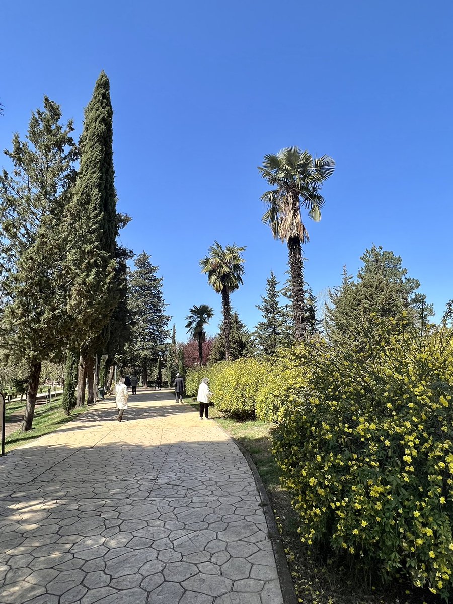 LiriKopaci's tweet photo. Last time I went running in the park of #tiranaartificiallake was in the early ‘90s w/ #USembassy #HashClub. Yes, that’s 30 years ago 🤦🏻♀️. Today I picked up courage to do a 5k 🏃♀️. Great job @CityOfTirana & team @erionveliaj - the🚶♀️ 🚴♀️ 🏃♀️ paths are fantastic! #Greencities https://t.co/A8onSJQKKt