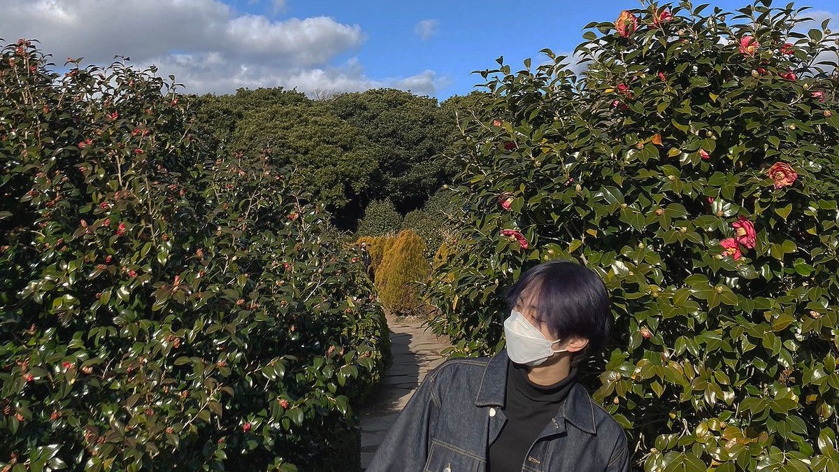 YJWONSITE's tweet photo. healing with jungwon pt2 💗💙 https://t.co/UDM4ZnrzTl