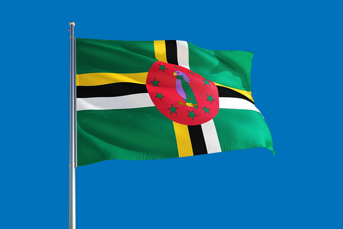 remolacha's tweet photo. Ucrania confundió la bandera de Dominica con la de República Dominicana https://t.co/15iTkI64BJ

#remolachanet https://t.co/HJRlVBX8tn