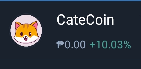 THE CATECOIN ALERTS 🐱 tweet media