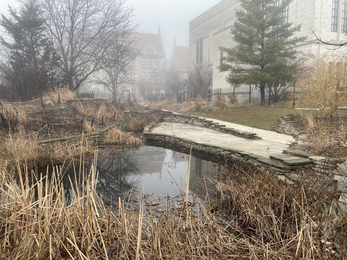 labOutdoors's tweet photo. Foggy morning in the Outdoor Classroom. https://t.co/q6sAhmJEr2
