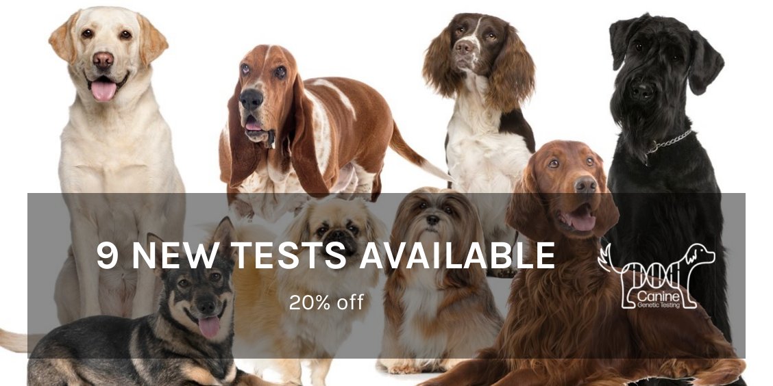 Canine Genetic Testing tweet media