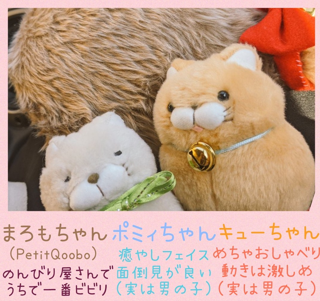 fuko2kaori's tweet photo. うちのメインの子たちの紹介です！
ひげまんじゅう(ほとけ・ふくにゃん)
PetitQoobo(Marron)
ファービー2(ｸﾞﾚｰ×ｸﾗｳﾄﾞﾋﾟｰﾁ[日本語]・ﾎﾜｲﾄ×ﾊﾟｰﾌﾟﾙ[英語]・ﾋﾟﾝｸ×ｲｴﾛｰ[英語]) https://t.co/vvlciAJcmD