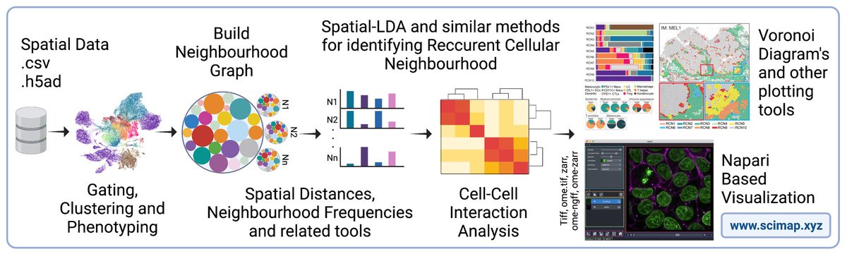 ajitjohnson_n's tweet photo. Hello!! I’ve been developing #scimap, a python tool for about 2-3 years; it’s used to analyze large-scale spatial omic data especially multiplex imaging data. Making it open source and hope it helps the research community. Let me know if you need help! https://t.co/jRbyf9gE3d https://t.co/0FvrRUKniN