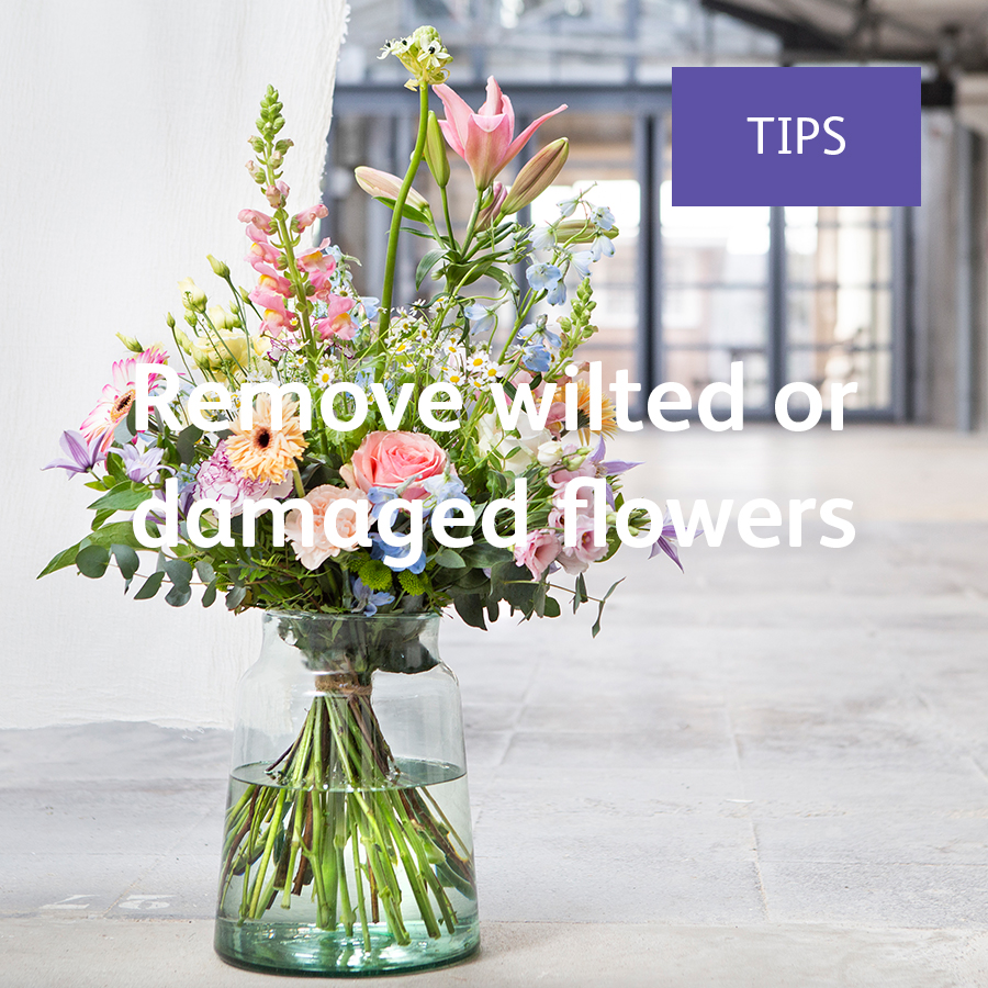 ChrysalInt's tweet photo. To ensure your flowers will last longer!
#Florist #FlowerCare #FlowerTips https://t.co/53IEsnels9