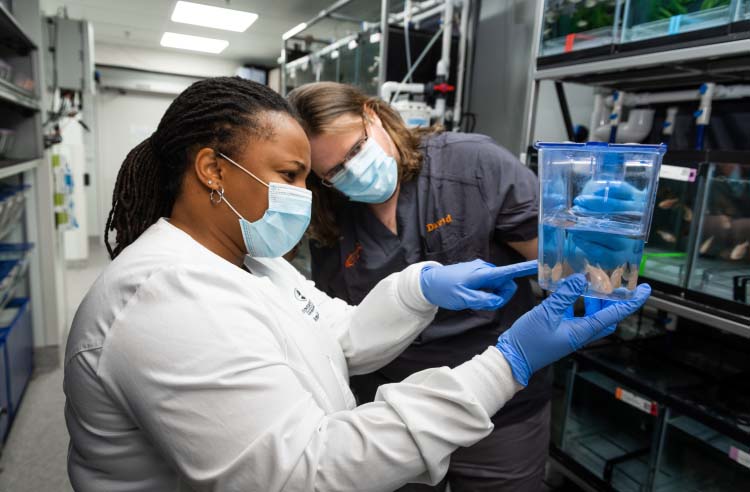 StowersGrad's tweet image. Technology is advancing the pace of discovery. At Stowers, our postdocs have ample opportunities to work closely with Technology Center scientists on technology innovation, experimental design, data analysis &amp;amp; interpretation. #PostdocTraining #PostdocLife stowers.org/education-trai…