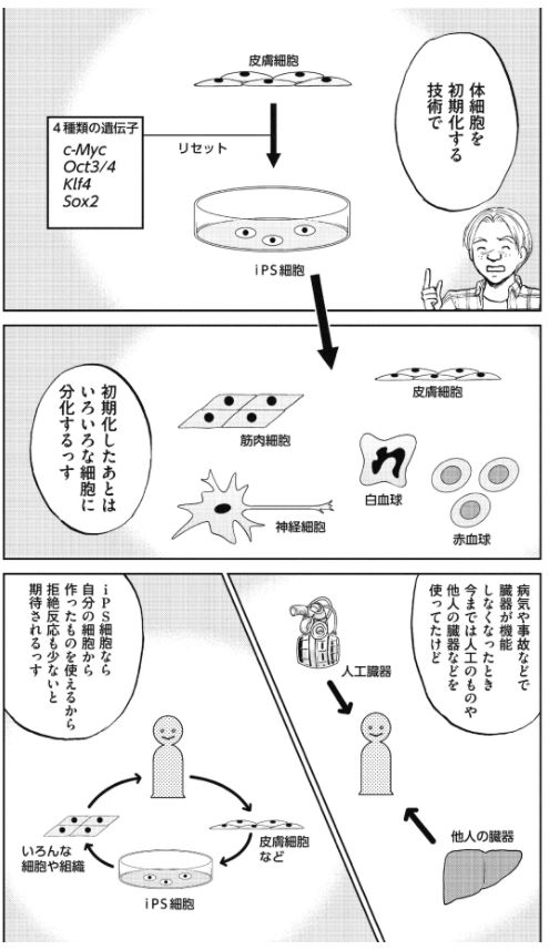 今日はips細胞の可能性について・・・

あれ?牛島君どこにいるのよ?

「新抗体物語」 その23 1/2
#漫画が読めるハッシュタグ 