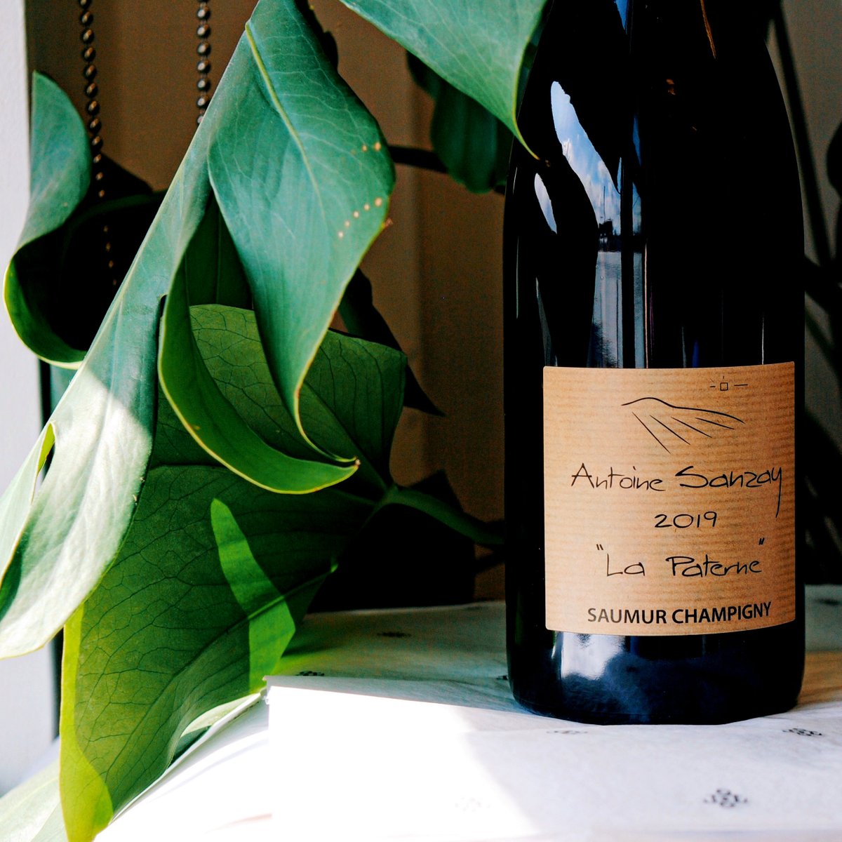 New to the Table: Antoine Sanzay 'La Paterne' Saumur-Champigny 2019 ⚡
hubs.ly/Q017pnSv0