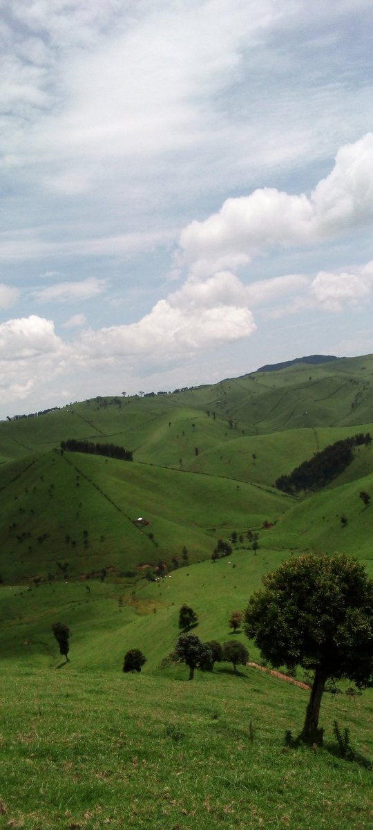 My Home #Kingogo <a href="/NgororeroDistr/">Ngororero District</a>