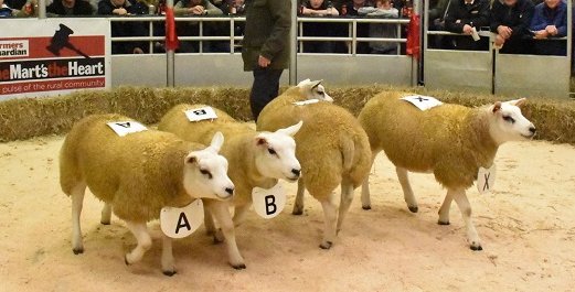 Surrey Young Farmers tweet media