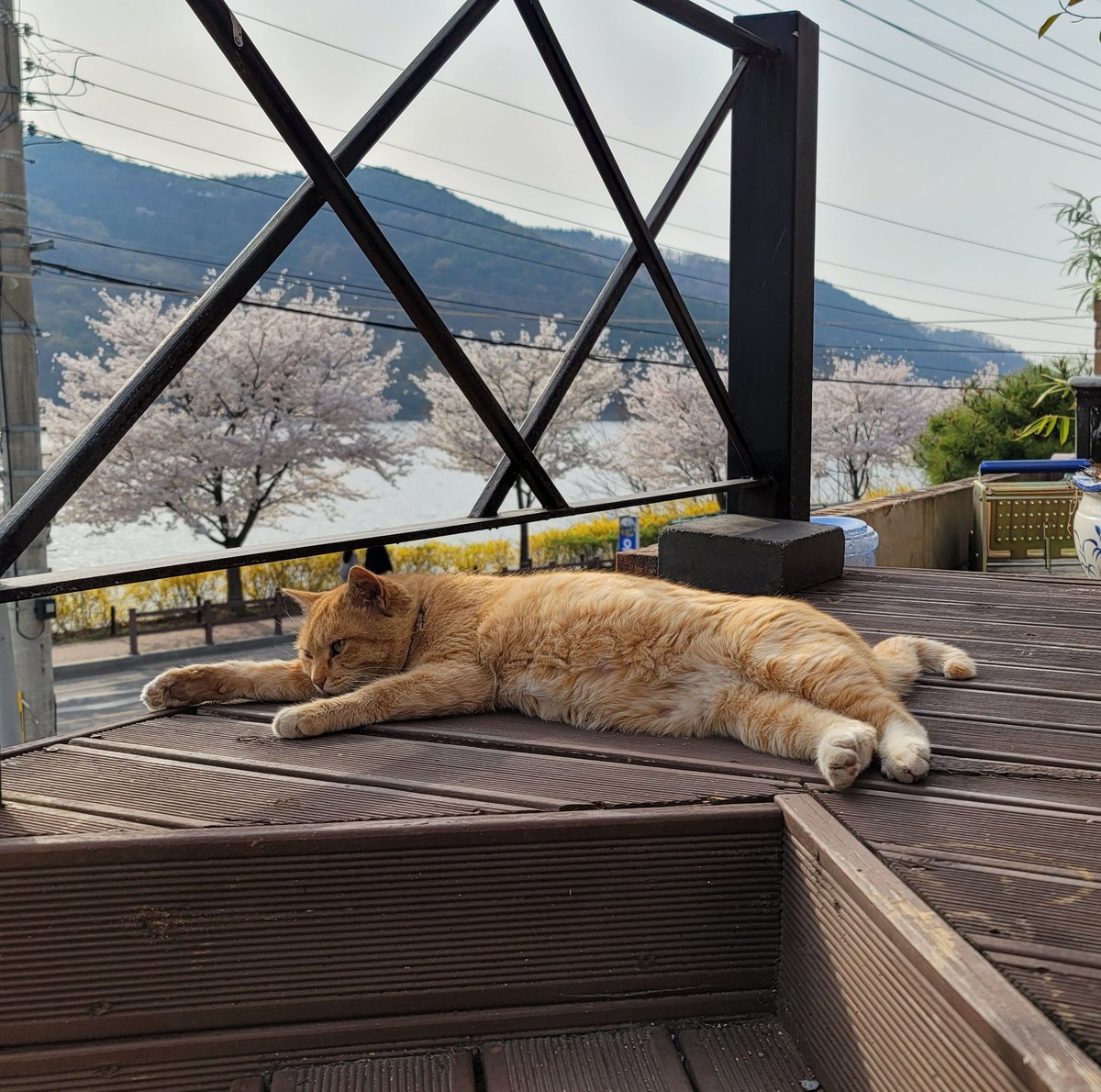 6Hosun_C's tweet photo. 성재야!! 얘 귀���찌 https://t.co/ViAtjREtY9
