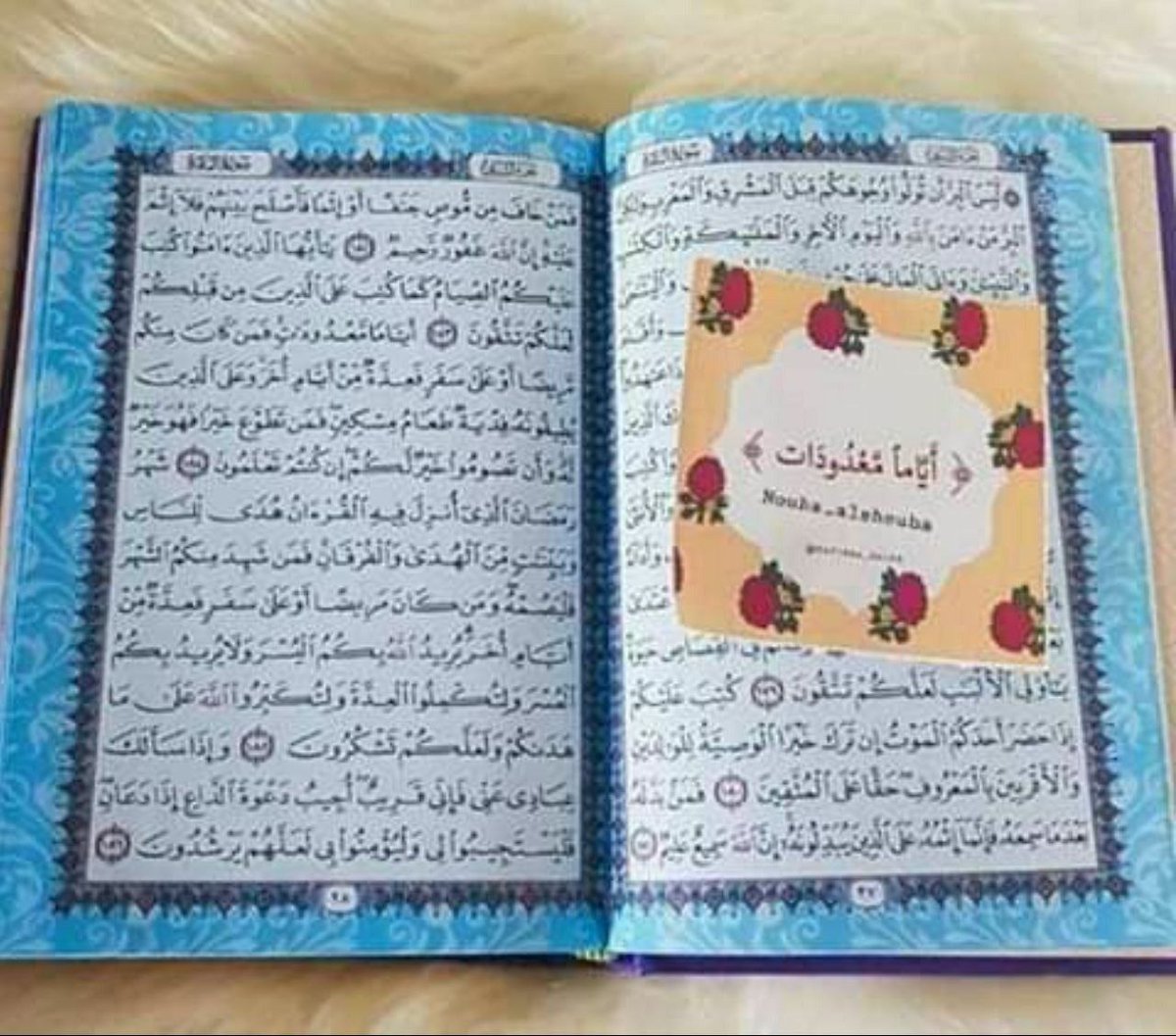 F_l_o_w_e_r2's tweet photo. اللهُم رمضان مُختلف ، ينتزعنا من غفلة الحياة والركض ورائها ، اللهُم رمضان يطهر القلب والعقل ولا يبقى فكرة ولا عادة إلا قوّمها وحسّنها ، اللهُم همّة وعزيمة دائمة وقوة في الطاعة واخلاص تام لك💚
#رمضان_مبارك https://t.co/3I0eGzdvC6