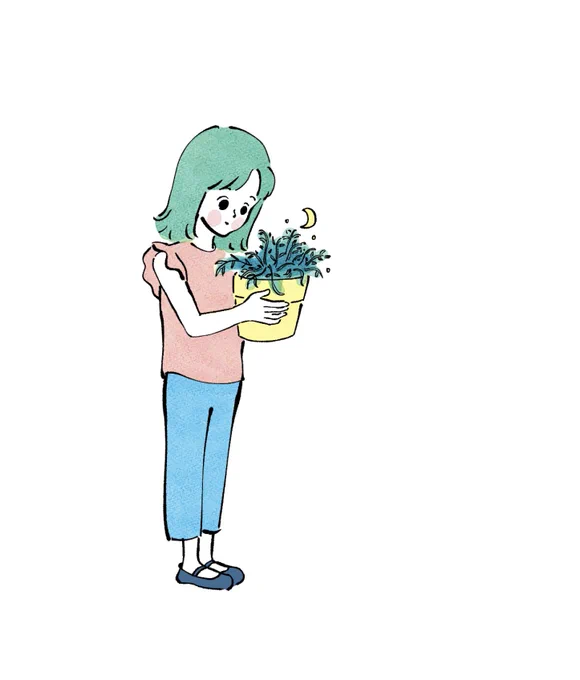 長女がガチャガチャでとってきたカモミールの種(多分)。ちゃんと芽が出て大きくなってきました。鉢が小さいのでスプーンで水をあげてます。 