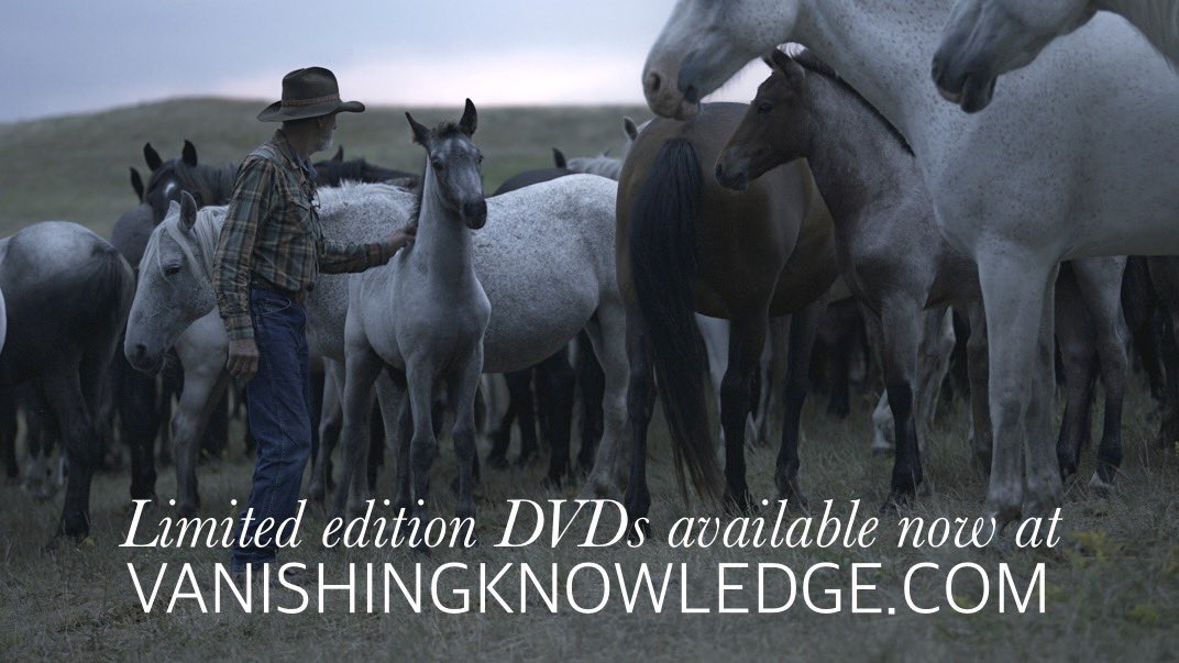 ejazkhanphotos's tweet photo. Time is running out to get your limited edition DVD now before they are gone at https://t.co/wmZn2vdCst

49% of the proceeds from our film will go towards the caring of these horses.

#newmovies 
#horsetherapy #horseowners #babyhorse
#horsemovie #nokota #horsefilm #moviestowatch https://t.co/Re4UkFJFyd