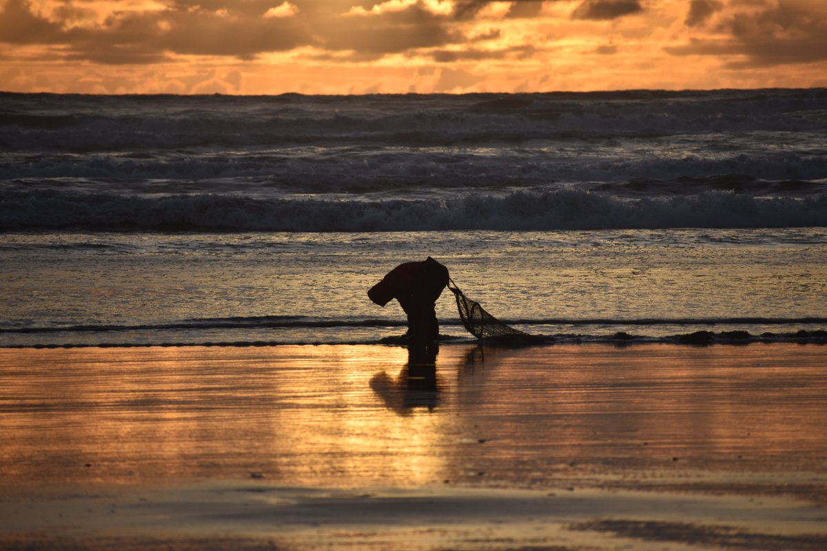 Copalis_Beach's tweet photo. #CopalisBeach #RazorClamming #TeamClamShovel #WashingtonCoast https://t.co/538Dr6dVS4
