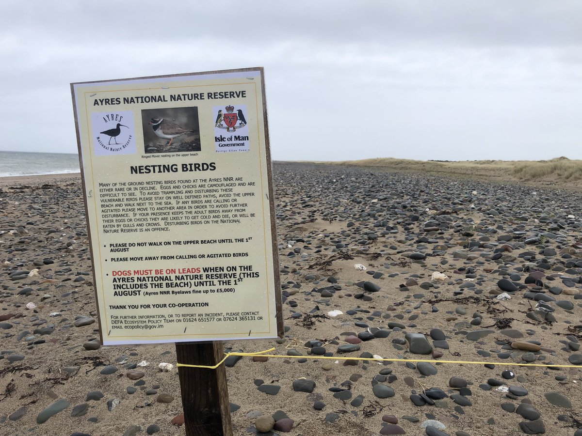 GrahamMakepeace's tweet photo. @Robert_K_Fisher, Phoebe (@manxnature Calf volunteer) and I helped @iomdefa Biodiversity Officer, Louise Samson, to erect fencing and warning signs around Smeale Beach this morning. Remember to avoid the area and keep dogs on leads until August 1st 👍 #ManxNature #TeamWilder 🐤🏖 https://t.co/xdHsEIOzeQ