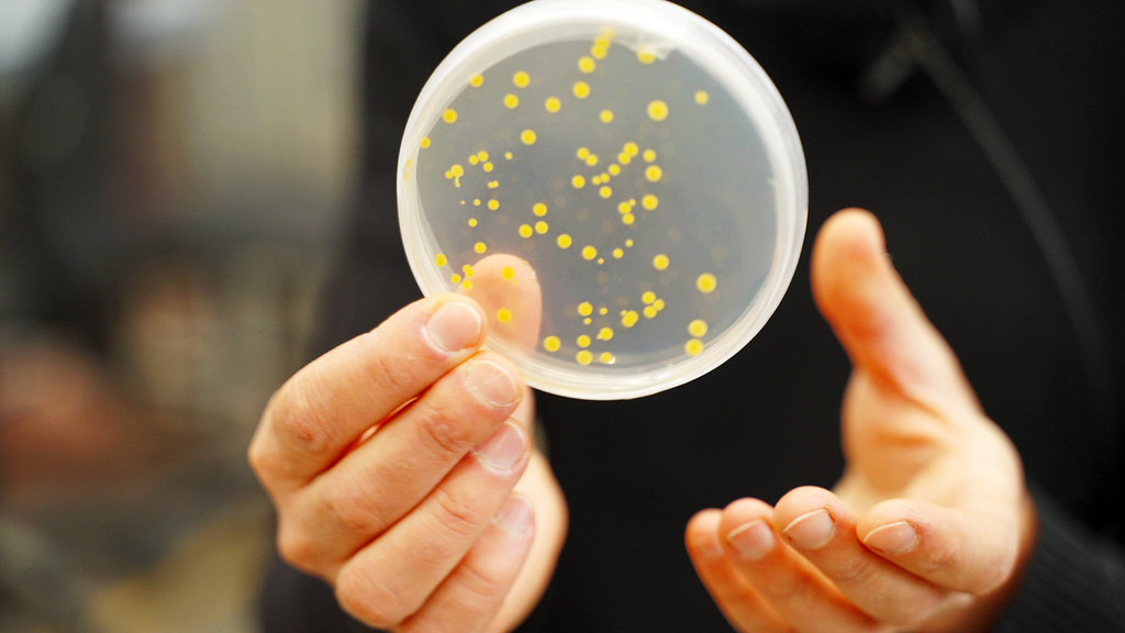 University of Bath (@uniofbath) on Twitter photo Self-healing buildings may sound like science fiction, but it is being made a reality at <a href="/bathenganddes/">BathEngAndDes</a>.
Instead of using more concrete to repair structural damage, our researchers are developing technologies that will enable concrete to repair itself.
bath.ac.uk/case-studies/u… Self-healing buildings may sound like science fiction, but it is being made a reality at <a href="/bathenganddes/">BathEngAndDes</a>.
Instead of using more concrete to repair structural damage, our researchers are developing technologies that will enable concrete to repair itself.
bath.ac.uk/case-studies/u…