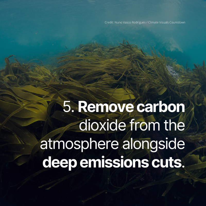 fwn_science's tweet photo. 🌍 New #IPCC #ClimateReport: Reaching the Paris targets is still possible, but climate action needs to scale up &amp; speed up, starting now! 

We need 👉
1) rapid cuts across the full range of GHGs
2) phasing out fossil fuels
3) doubling renewables 
4) increasing climate finance