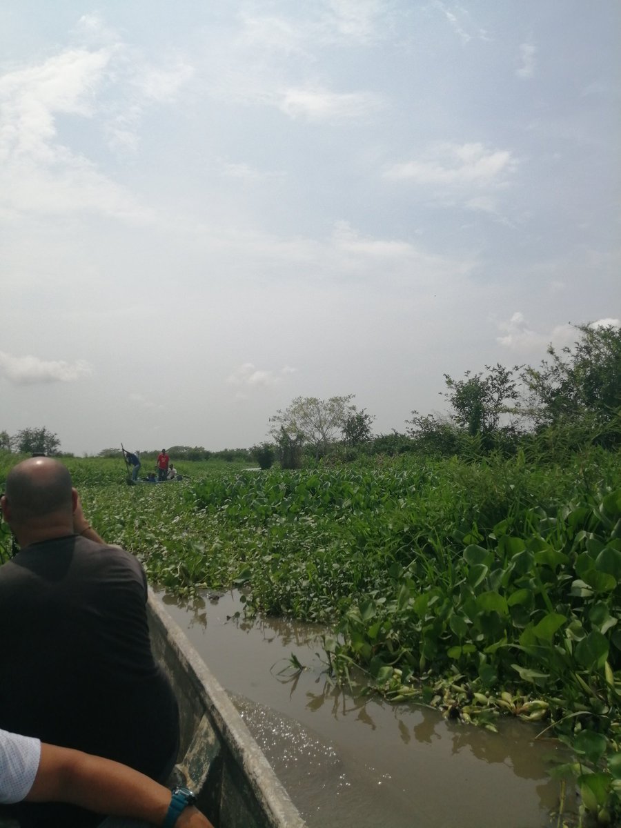 visomutop's tweet photo. Con el defensor de derechos humanos @MarquezAdil, @visomutop acompañó jornada de trabajo con población que fue despojada de sus tierras por la violencia paramilitar en el canal del Dique. Revisando afectaciones por megaproyecto APP que en la práctica privatiza el agua y playones https://t.co/kJAtUjjAiL