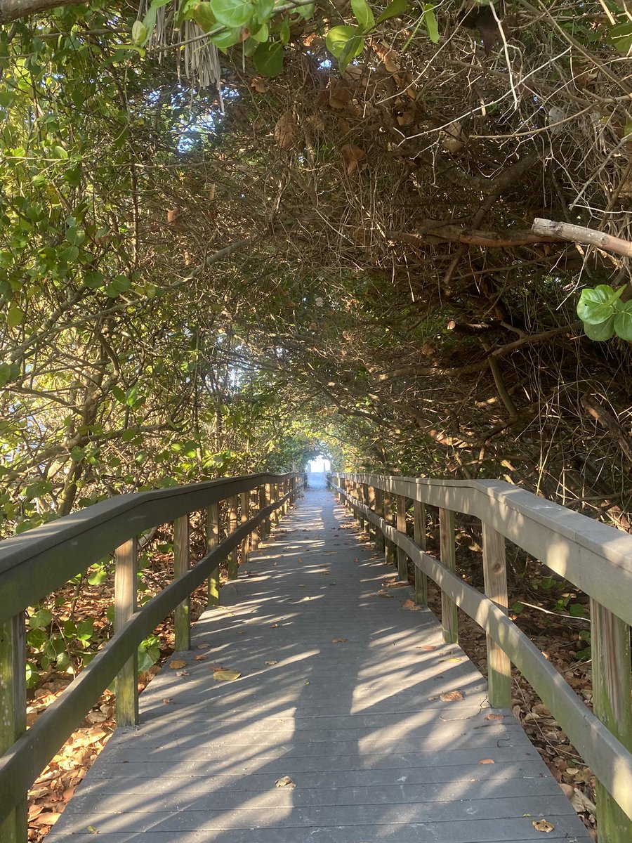 MASlipka's tweet photo. GM from Treasure Island! Humid and warm morning for run, a little slow but symbolic and an an accomplishment of many sorts over seven years. #ripdes https://t.co/IQfHM4D4Lf