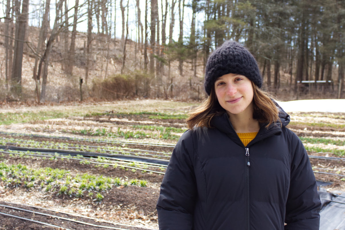 Daily Nutmeg tweet media