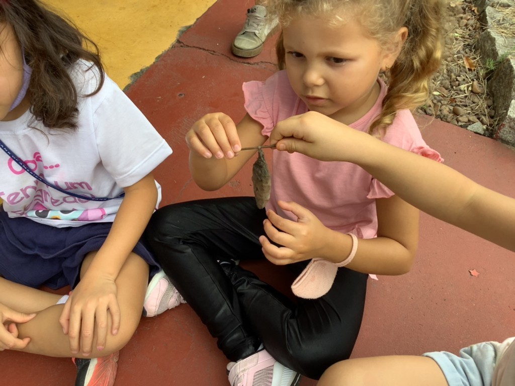 StPaulsSchoolSP's tweet photo. PP3 pupils visited Sabor da Fazenda last week and had lots of fun while learning about planting, worms, taking care of our environments and observing different plants! The place is an organic nursery.
#stpaulsschoolsp #bepaulean https://t.co/JDt2Gi0Hpr