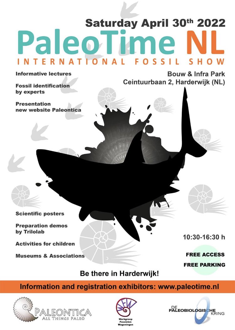 HesterLoeff's tweet photo. Zaterdag 30 april de leukste fossielenbeurs van Nederland! #paleotime in Harderwijk. Ik ben er ook. https://t.co/g4Utfw60un