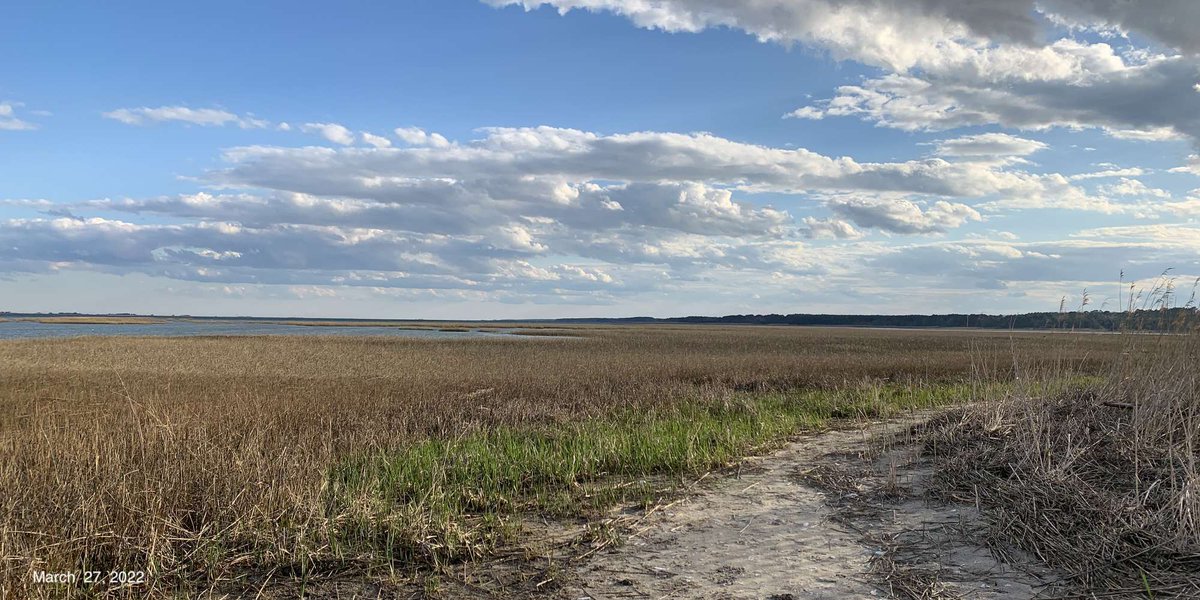 vcrlter's tweet photo. Starting to feel and look like spring around here! #saltmarsh #phenology #coastalchange #repeatphotography 

https://t.co/tp69IkOoUX https://t.co/p1ZZJFLXGL