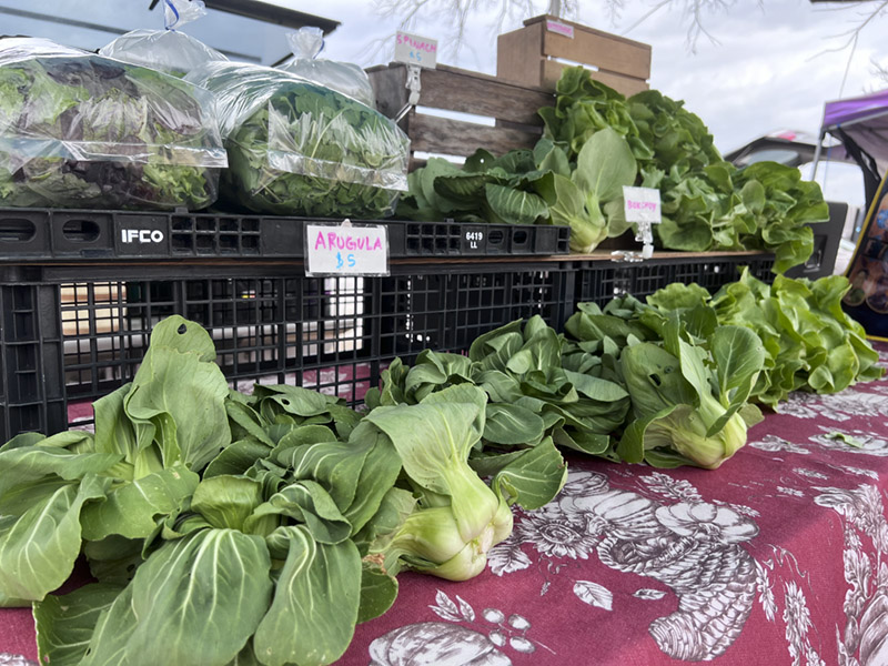 docudr's tweet photo. Access to fresh produce for the food insecure and more sales for local farmers is a winning formula! Hear how on Mothering Earth podcast.
https://t.co/9UnqEoMEKM #freshfoodaccess #producetothepeople #nonprofit #weloveourfarmers #snapbenefits #feedthepeople https://t.co/073gQBiSyI