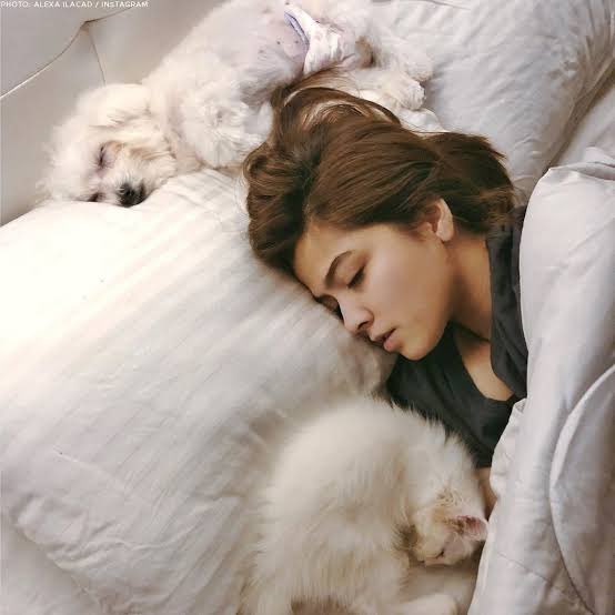 alxarchive7_'s tweet photo. sleep still, look pretty

#AlexaIlacad https://t.co/akOwIhIsO3