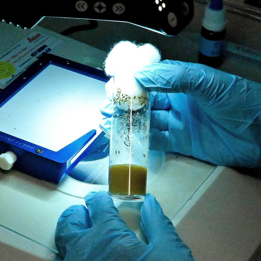 imprs_cbp's tweet image. What do we offer? #keyfeature 5: In three three-week #labrotations in different research groups, you will get to know our faculty, and learn more on different methods, techniques &amp;amp; projects within the #imprs_cbp before staring your #phd. @MPIbp @goetheuni @uni_mainz @fias_science