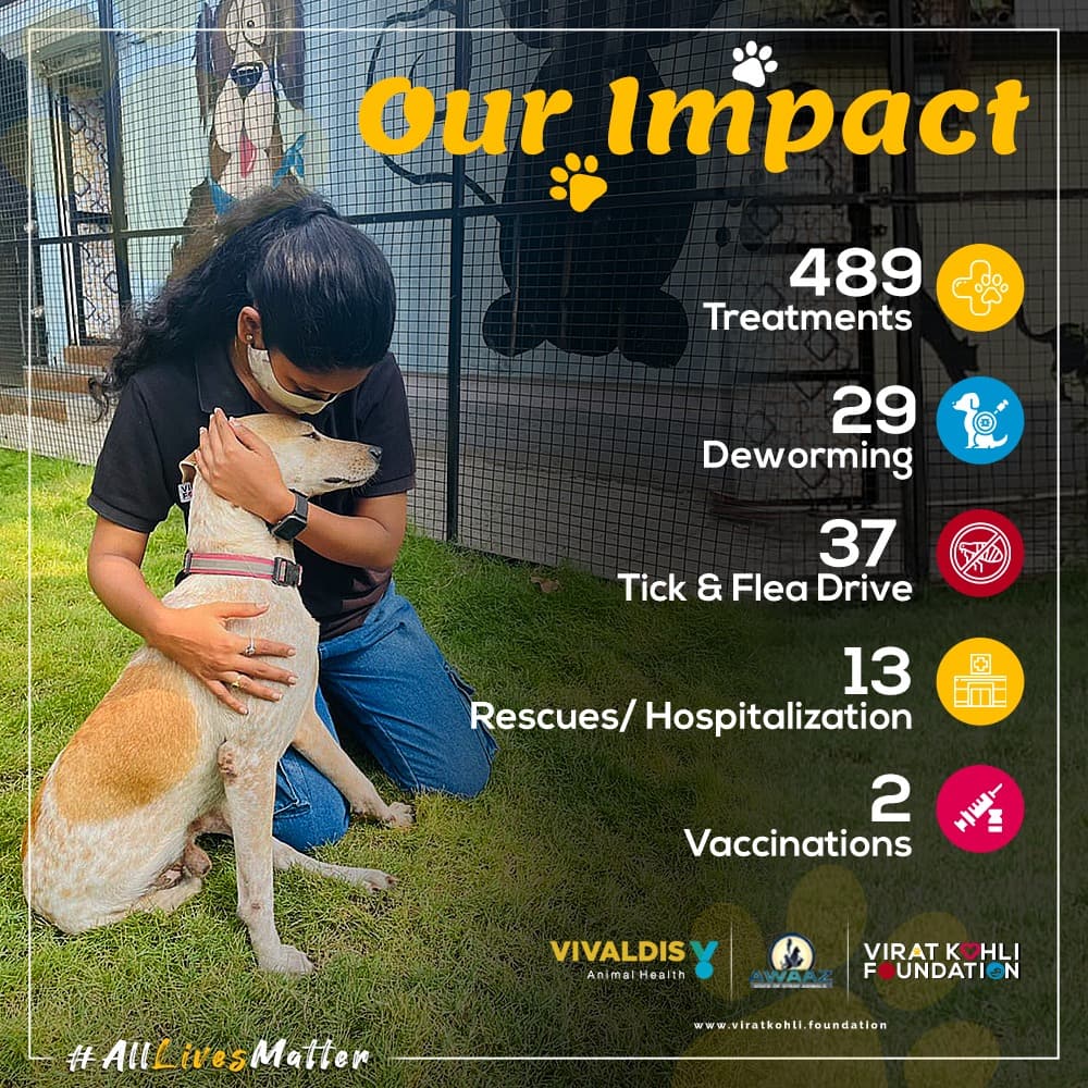 sevvafoundation's tweet photo. Our #Pawprint 🐾 for the month of March

#VKF #VKF4Change #Vivaldis #BarkOutLoud 
#AnimalWelfare https://t.co/bVri5JlBUI