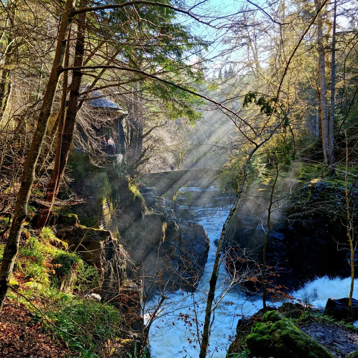 Rabbies_Travel's tweet photo. Scotland has awoken from the depths of winter 😍.
📸 driver-guide David Lovelock
#rabbiestours #visitscotland #thehermitage #scotlandiscalling #spring #LoveScotland #igscotland https://t.co/saidfoYZrq